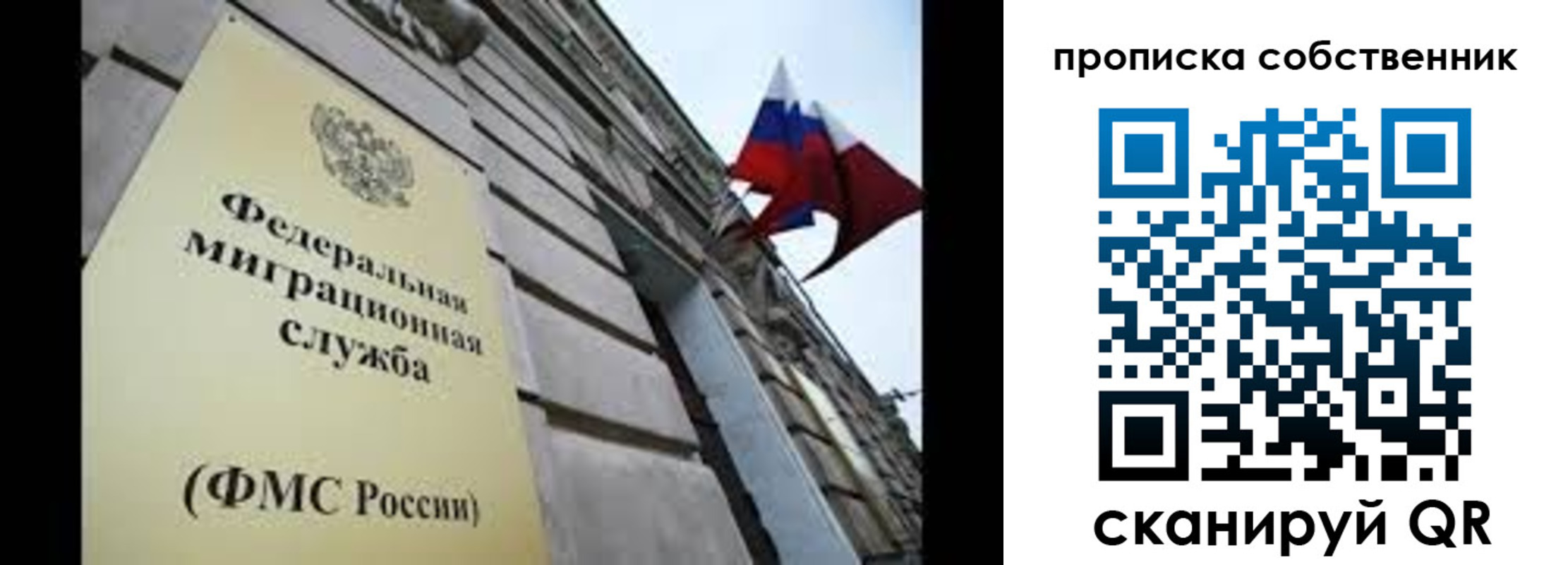 прописка гарантия в Дорогобуже